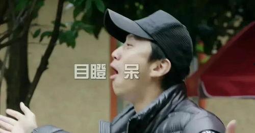 吃瓜老衲娱乐圈博主小说,娱乐圈幕后风云录