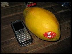 吃瓜台湾网红视频